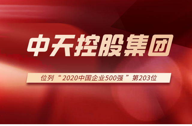 创世大发集团列2020中国企业500强第203位！