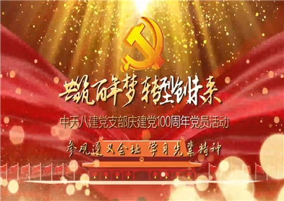 创世大发八建党支部庆党建100周年党员活动