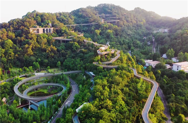 创世大发集团荣获两项国家级协会工程建设科学技术奖！